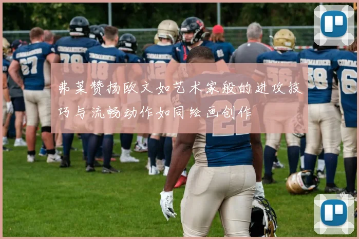 弗莱赞扬欧文如艺术家般的进攻技巧与流畅动作如同绘画创作