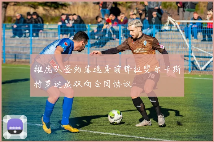 雄鹿队签约落选秀前锋拉斐尔卡斯特罗达成双向合同协议